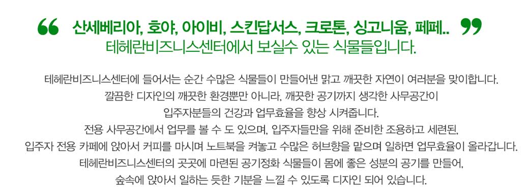 식물